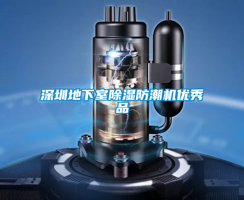 深圳地下室除濕防潮機優(yōu)秀品