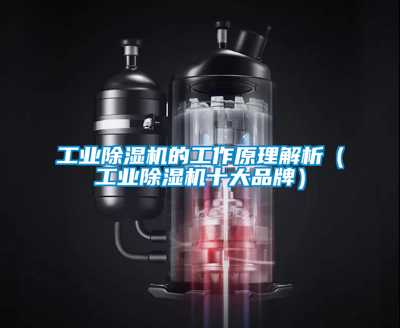 工業(yè)除濕機的工作原理解析（工業(yè)除濕機十大品牌）