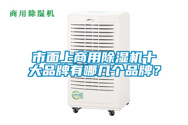 市面上商用除濕機十大品牌有哪幾個品牌？