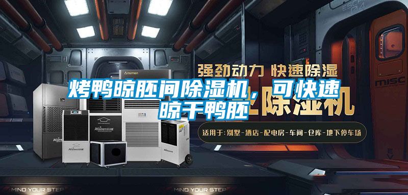 烤鴨晾胚間除濕機(jī)，可快速晾干鴨胚