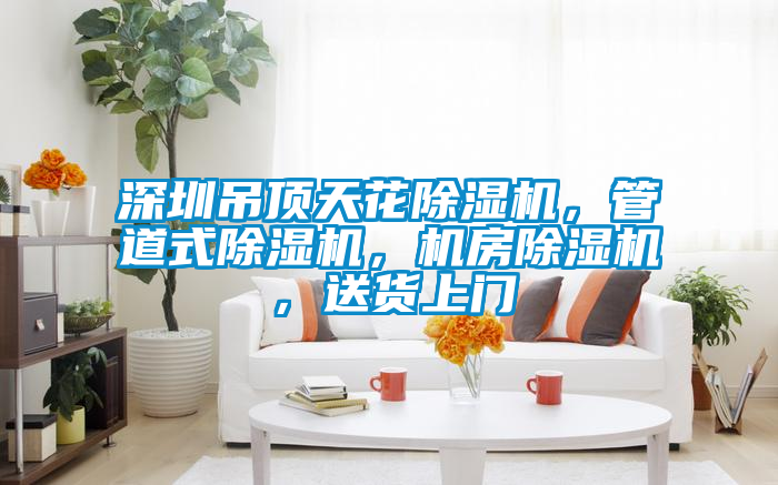 深圳吊頂天花除濕機(jī)，管道式除濕機(jī)，機(jī)房除濕機(jī)，送貨上門