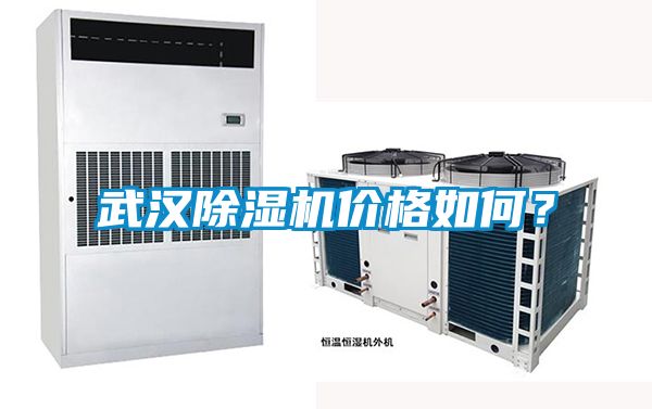 武漢除濕機價格如何？