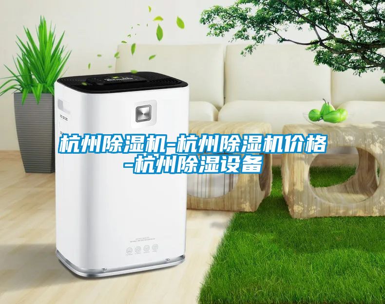 杭州除濕機-杭州除濕機價格-杭州除濕設備