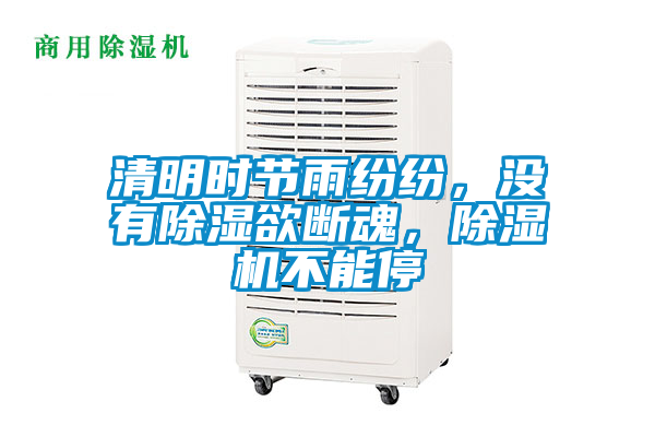 清明時節雨紛紛，沒有除濕欲斷魂，除濕機不能停