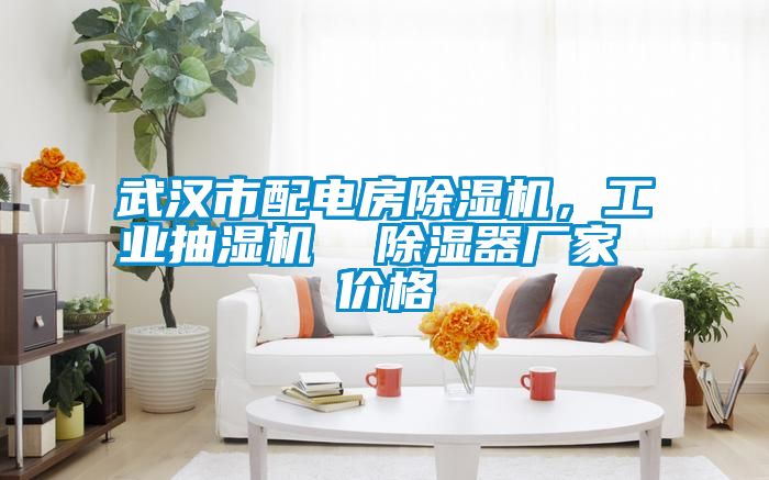 武漢市配電房除濕機(jī)，工業(yè)抽濕機(jī)  除濕器廠家 價(jià)格