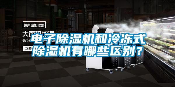 電子除濕機(jī)和冷凍式除濕機(jī)有哪些區(qū)別？