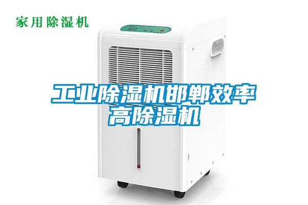 工業除濕機邯鄲效率高除濕機