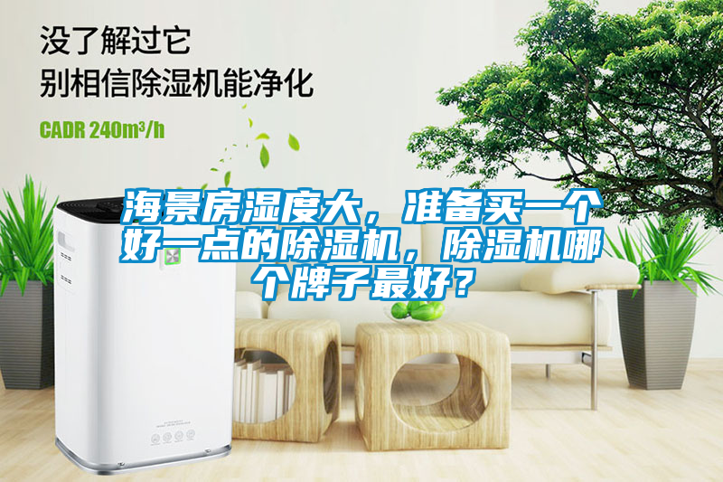 海景房濕度大，準備買一個好一點的除濕機，除濕機哪個牌子最好？