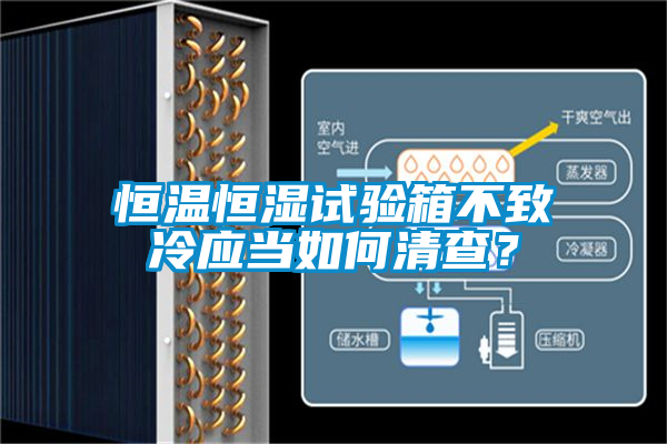 恒溫恒濕試驗箱不致冷應當如何清查？