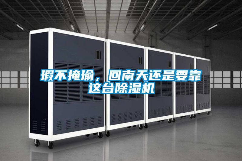 瑕不掩瑜，回南天還是要靠這臺除濕機(jī)