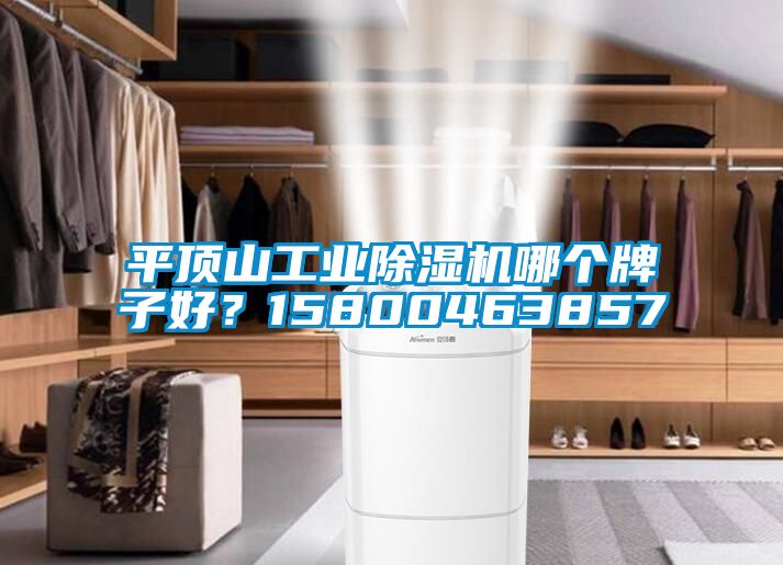 平頂山工業(yè)除濕機哪個牌子好？15800463857