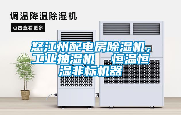 怒江州配電房除濕機，工業(yè)抽濕機  恒溫恒濕非標(biāo)機器
