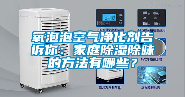 氧泡泡空氣凈化劑告訴你：家庭除濕除味的方法有哪些？