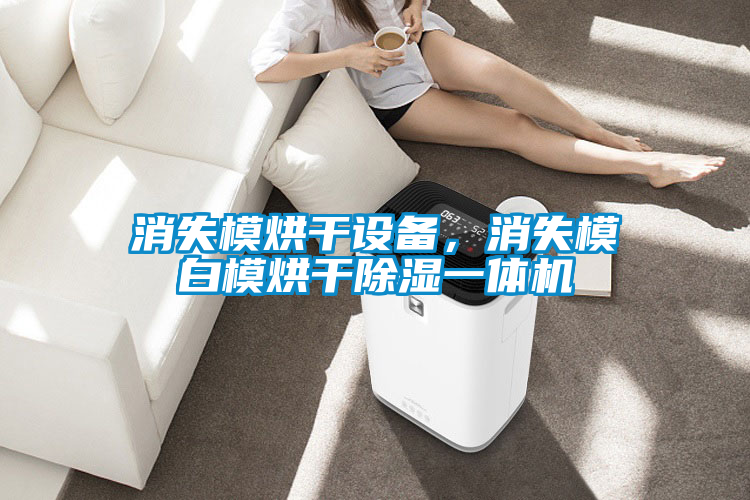 消失模烘干設備，消失模白模烘干除濕一體機