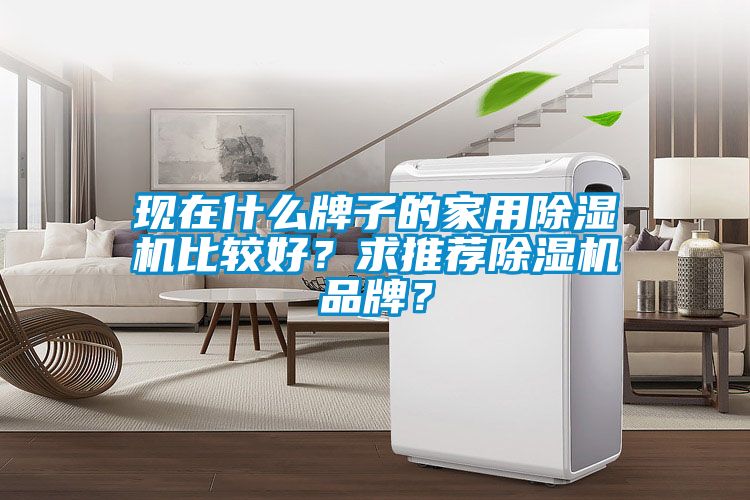 現在什么牌子的家用除濕機比較好？求推薦除濕機品牌？