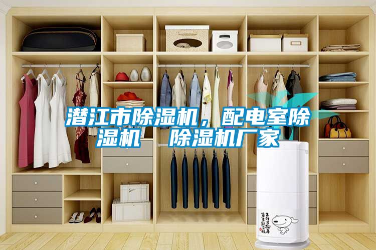 潛江市除濕機(jī)，配電室除濕機(jī)  除濕機(jī)廠家