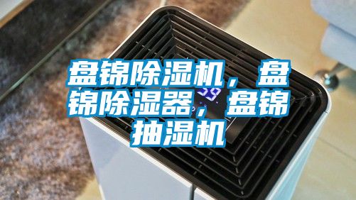 盤錦除濕機(jī)，盤錦除濕器，盤錦抽濕機(jī)