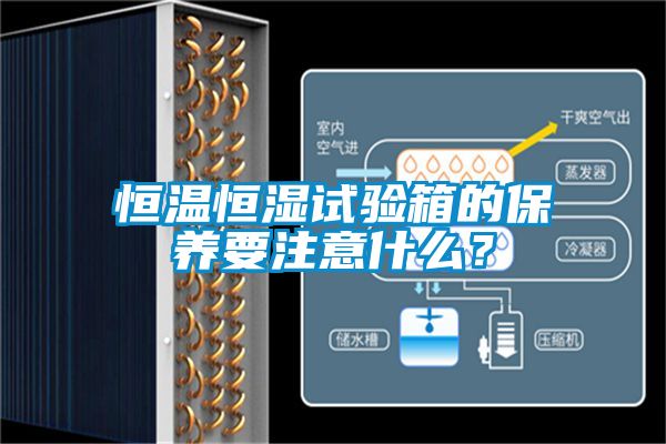 恒溫恒濕試驗箱的保養要注意什么？