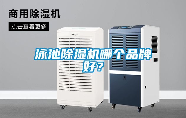 泳池除濕機哪個品牌好？
