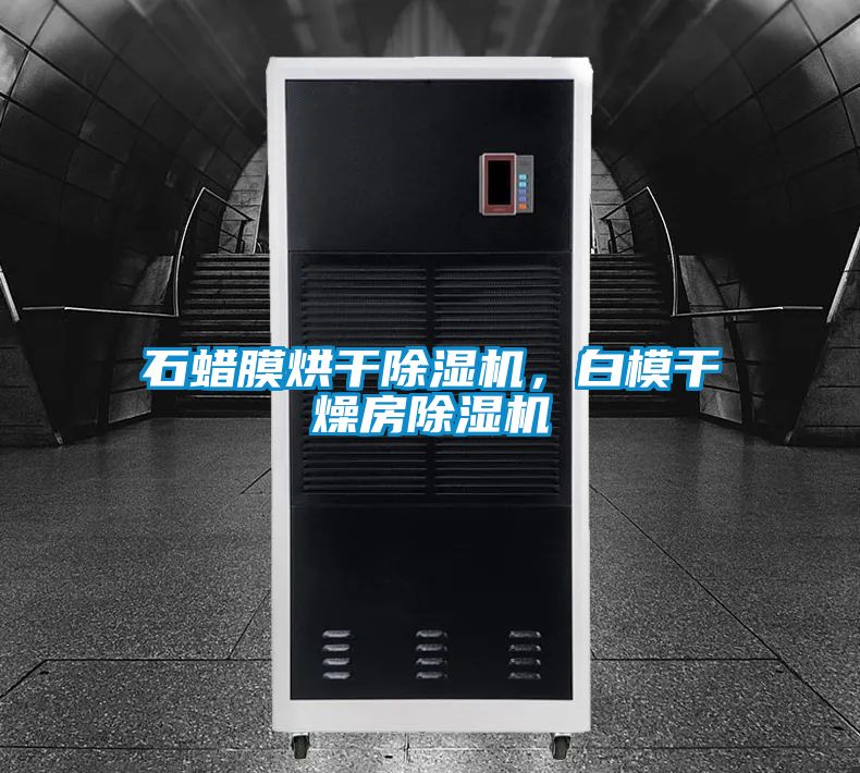 石蠟?zāi)ず娓沙凉駲C(jī)，白模干燥房除濕機(jī)