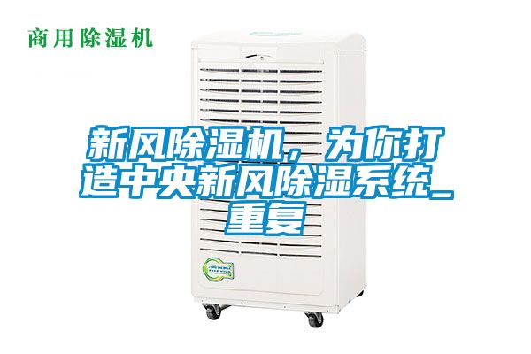 新風除濕機，為你打造中央新風除濕系統_重復