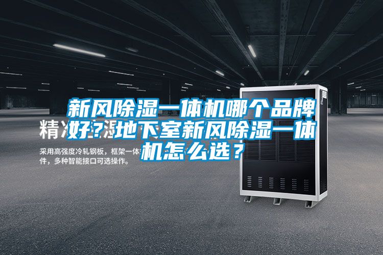 新風(fēng)除濕一體機(jī)哪個(gè)品牌好？地下室新風(fēng)除濕一體機(jī)怎么選？