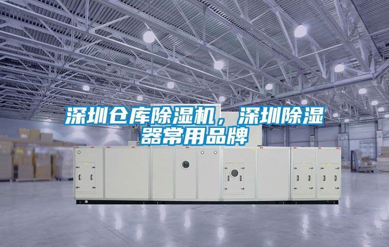 深圳倉(cāng)庫(kù)除濕機(jī)，深圳除濕器常用品牌
