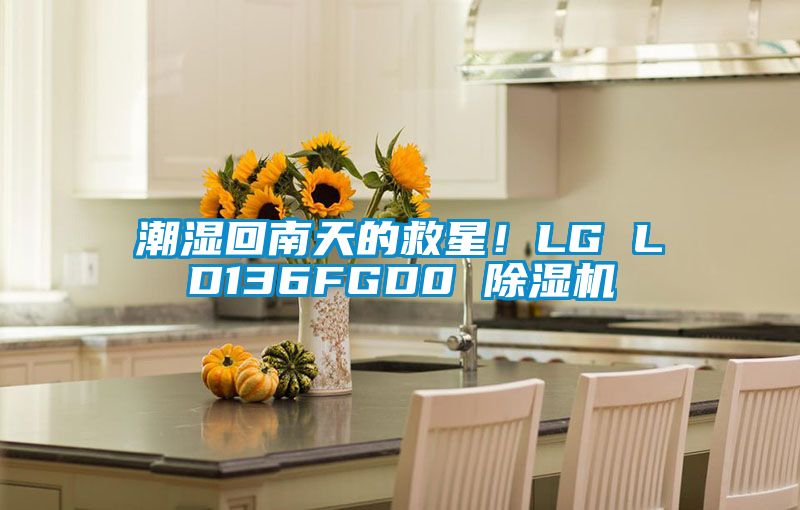 潮濕回南天的救星！LG LD136FGD0 除濕機(jī)