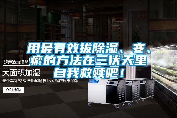 用最有效拔除濕、寒、瘀的方法在三伏天里自我救贖吧！