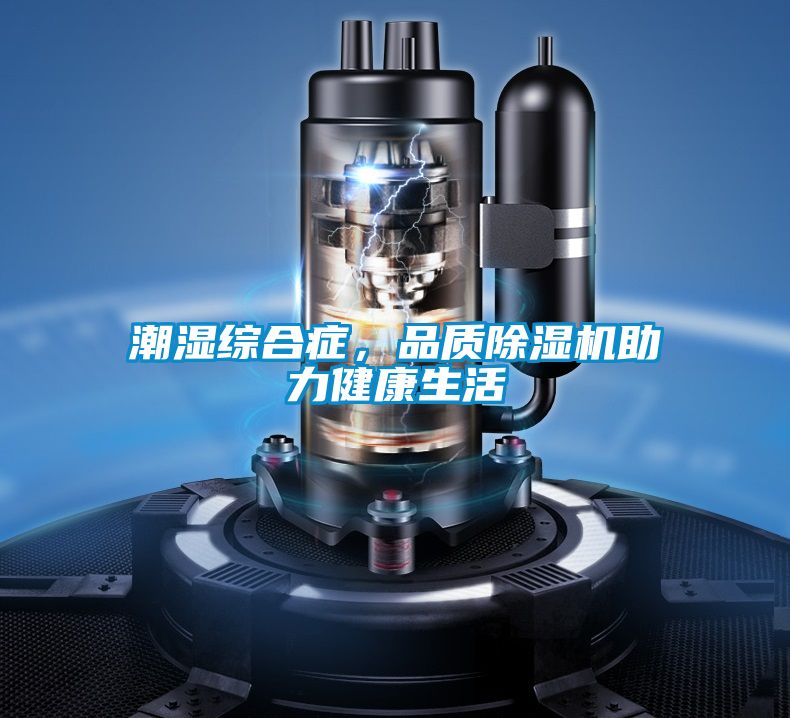 潮濕綜合癥，品質(zhì)除濕機(jī)助力健康生活