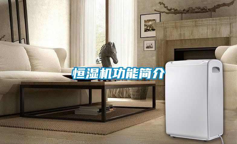 恒濕機(jī)功能簡介