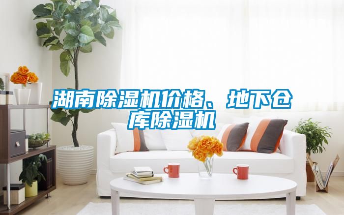 湖南除濕機價格、地下倉庫除濕機