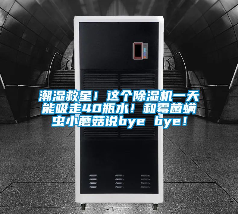 潮濕救星！這個除濕機一天能吸走40瓶水！和霉菌螨蟲小蘑菇說bye bye！