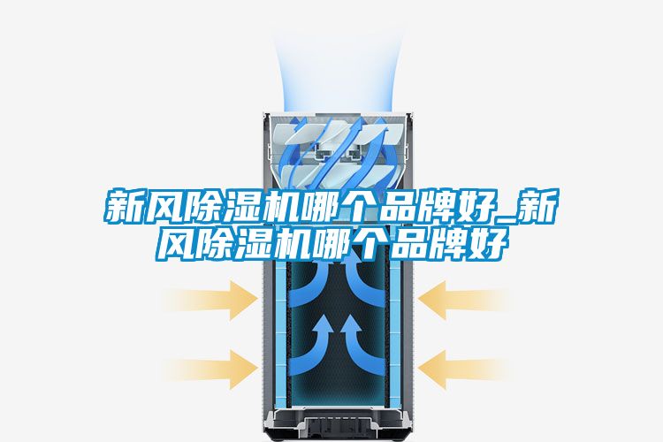 新風(fēng)除濕機哪個品牌好_新風(fēng)除濕機哪個品牌好
