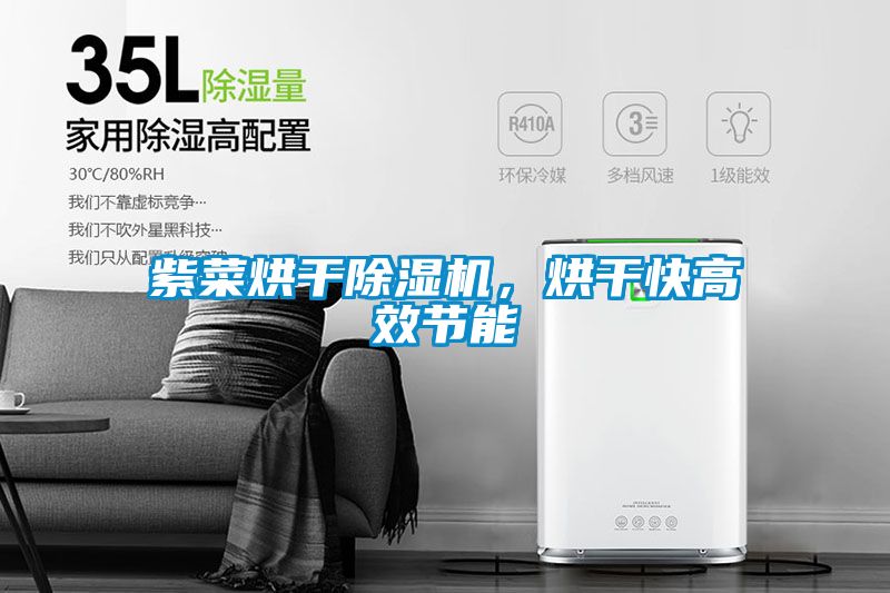 紫菜烘干除濕機，烘干快高效節能