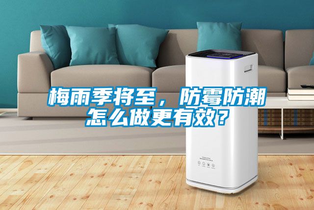 梅雨季將至，防霉防潮怎么做更有效？