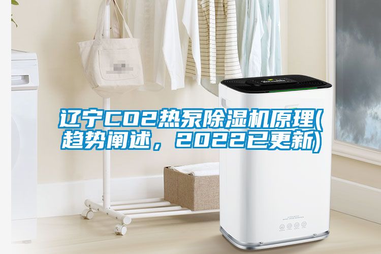遼寧CO2熱泵除濕機(jī)原理(趨勢(shì)闡述，2022已更新)