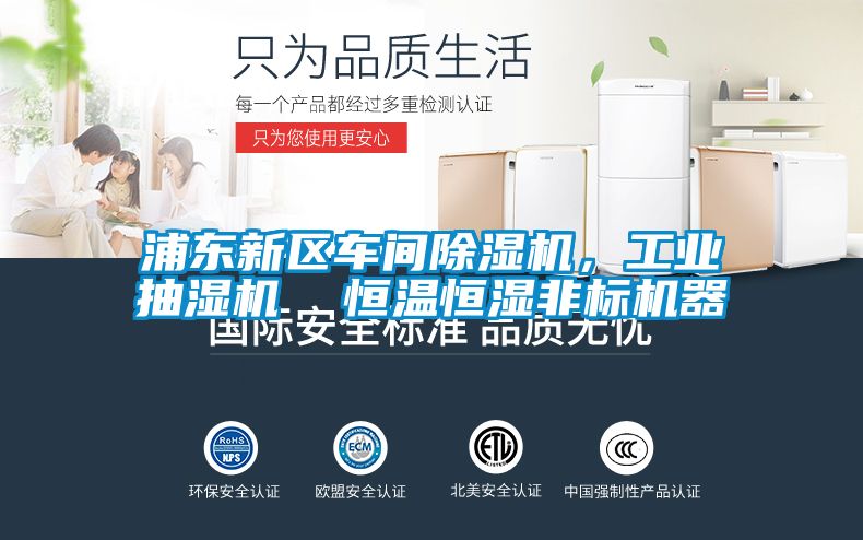 浦東新區(qū)車間除濕機(jī)，工業(yè)抽濕機(jī)  恒溫恒濕非標(biāo)機(jī)器