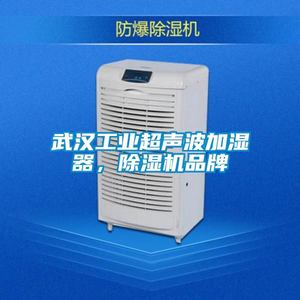 武漢工業(yè)超聲波加濕器，除濕機(jī)品牌