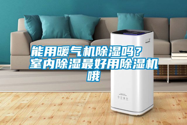 能用暖氣機除濕嗎？ 室內(nèi)除濕最好用除濕機哦