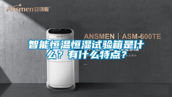 智能恒溫恒濕試驗(yàn)箱是什么？有什么特點(diǎn)？