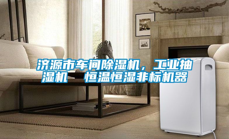 濟(jì)源市車(chē)間除濕機(jī)，工業(yè)抽濕機(jī)  恒溫恒濕非標(biāo)機(jī)器