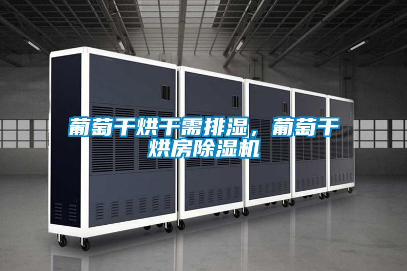 葡萄干烘干需排濕，葡萄干烘房除濕機(jī)