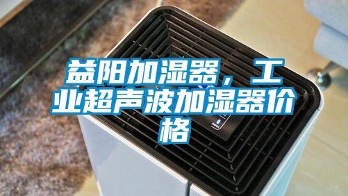 益陽加濕器，工業(yè)超聲波加濕器價格