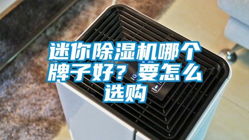 迷你除濕機哪個牌子好？要怎么選購