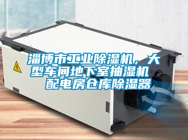 淄博市工業(yè)除濕機(jī)，大型車間地下室抽濕機(jī)  配電房倉(cāng)庫除濕器