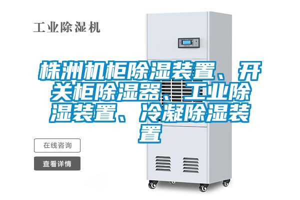 株洲機(jī)柜除濕裝置、開關(guān)柜除濕器、工業(yè)除濕裝置、冷凝除濕裝置