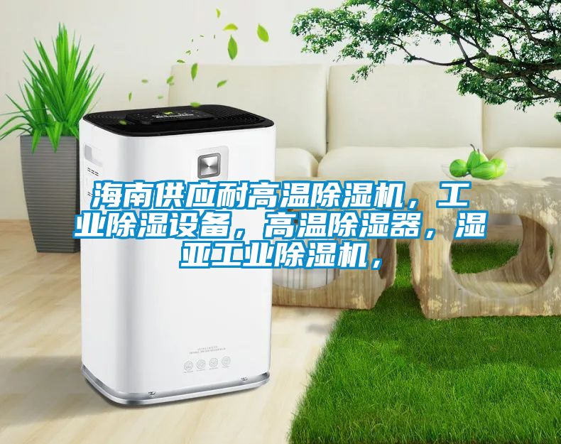 海南供應耐高溫除濕機，工業(yè)除濕設備，高溫除濕器，濕亞工業(yè)除濕機，