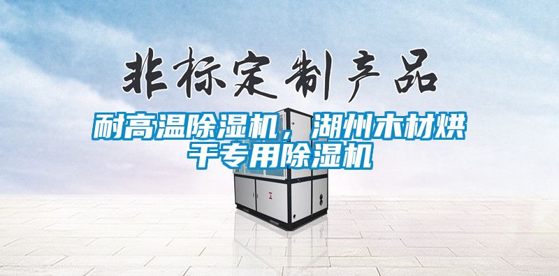 耐高溫除濕機，湖州木材烘干專用除濕機