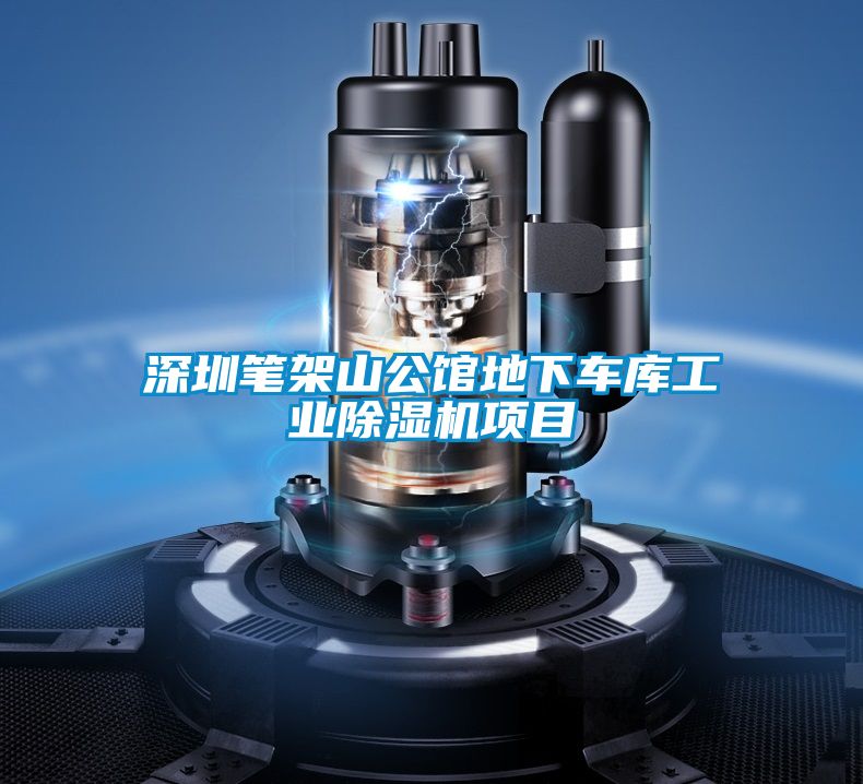 深圳筆架山公館地下車庫工業(yè)除濕機(jī)項(xiàng)目